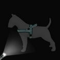 thumbnail image 3 of Didog No Pull Dog Harness Front Leading Adjustable Reflective Soft Warm Plush Padded Strap Vest XS-L, 3 of 8