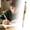 Gold, variant on 1Pc 6 In 1 Metal Multitool Pen, Multi Tool Pen, Portable Multi Functional Handy Gadget, Practical Writing and Mini Repair Tool for Office, Outdoor and Household Daily Maintenance Use, Black