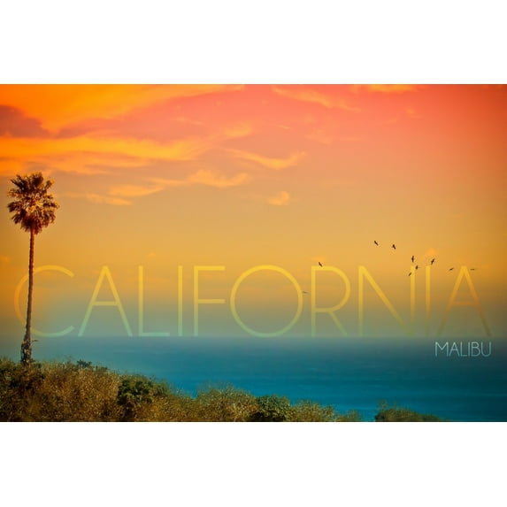 Malibu, California, Sunset and Birds (36x54 Giclee Gallery Art Print, Vivid Textured Wall Decor)