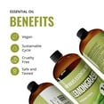 thumbnail image 3 of Lab Bulks Lemongrass Essential Oil 16 fl oz (Pack of 1) for Diffusers, Home Care, Candles, Hair and Room Spray, 3 of 9