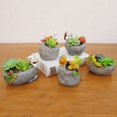 thumbnail image 3 of Baozhu Succulent Plant Pot, Cute Animal Shape Indoor Bonsai Plant Pots for Cars Desks & Home Decoration, 3 of 3
