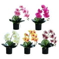 thumbnail image 3 of Beautiful Phalaenopsis bonsai: Elegant artificial Phalaenopsis with plastic pot, 3 of 11