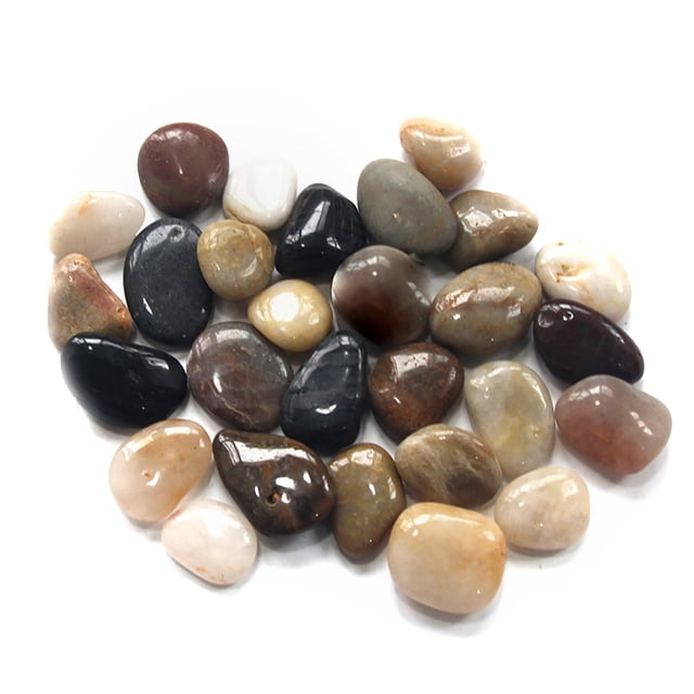 Coofit Pierre d'Aquarium Naturelle Multifonctionnelle Petite Pierre Décorative