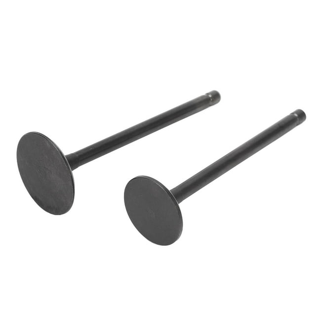 Kit de válvula de admisión de escape Juego de válvulas de admisión de escape negras Reemplazo para XG250 TRICKER 2004-2017