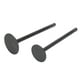 thumbnail image 1 of Kit de válvula de admisión de escape Juego de válvulas de admisión de escape negras Reemplazo para XG250 TRICKER 2004-2017, 1 of 12