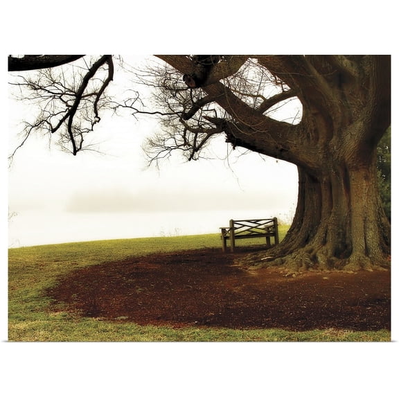 Great BIG Canvas | Rolled Alan Hausenflock Poster Print entitled Fog on the James II