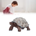 thumbnail image 3 of Figuras de Tortuga, Plásstico de Tortugas Pequeño Animal Salvaje Simulado Para Regalos Navideños Para Niños Mayores de 3 Años para Regalos de Cumpeados, 3 of 7