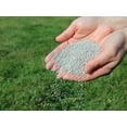 thumbnail image 2 of Fertilizante Inorgánico Nutrigarden Nutripasto Granulado 1 Kg, 2 of 2