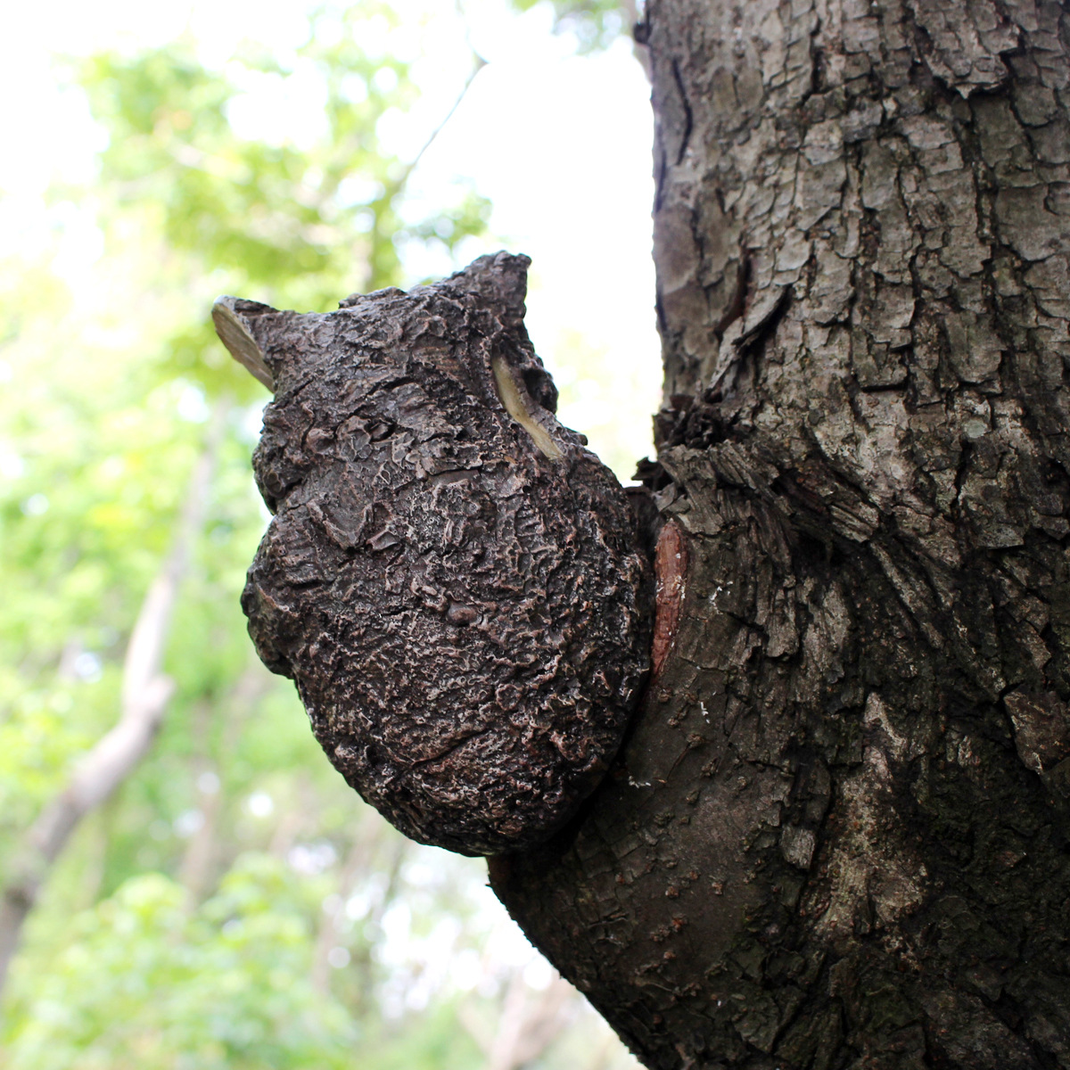 Owl Tree Hugger, Funny Keep Quiet Owl Statue Outdoor Tree Face Decor, Resin Tree Sculpture Garden Peeker Yard Art Ornaments, Housewarming Gift