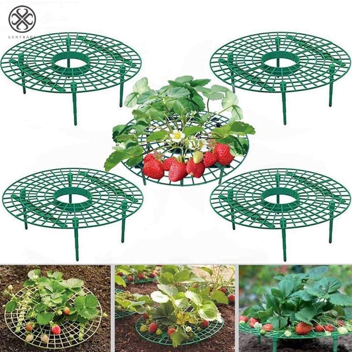 1/5/10Pcs Strawberry Support Elevated Cage Ground Stand Avoid Rot Garden Protect 
