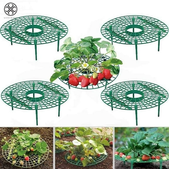 Luxtrada 5PCS Strawberry Stand Frame Holder Balcony Planting Rack Fruit Support Plant Flower Climbing Vine Pillar Gardening Stand