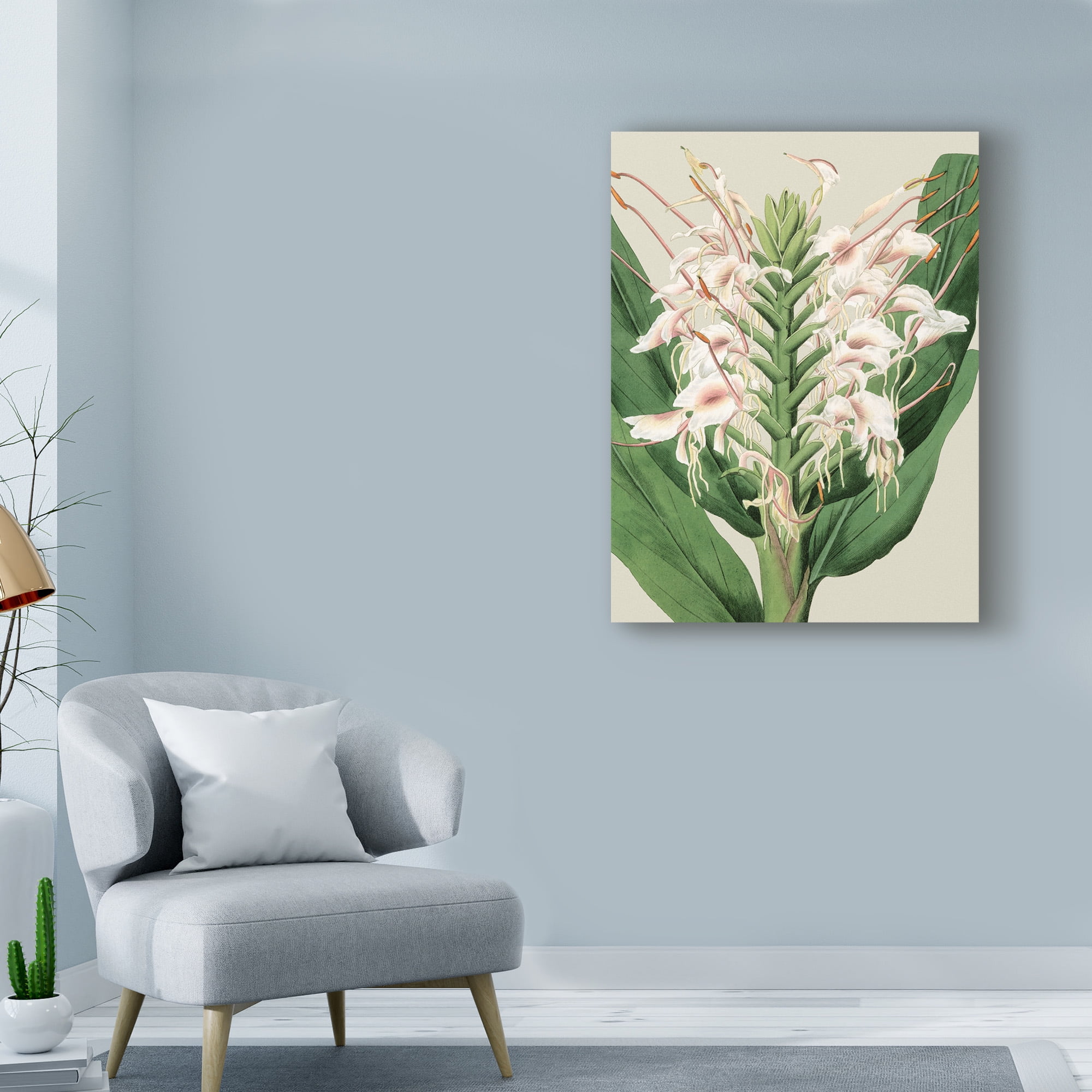 Trademark Fine Art 'Small Orchid Blooms IV' Canvas Art by Vision Studio