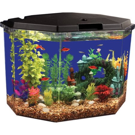 Aqua Culture 6 5 Gal Semi Hex Aquarium Kit With Led Lighting