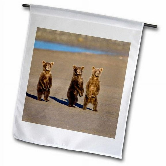 3dRose, Alaska, Brown Bears, Salmon Creek, Lake Clark - US02 RBE0091 - Ralph H. Bendjebar, 12 x 18 inch Garden Flag