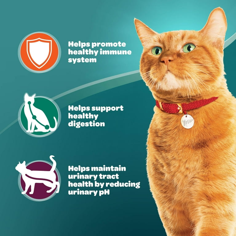 9Lives Plus Care Dry Cat Food with Tuna Egg Flavors 15.5 lb Bag Walmart
