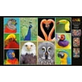 thumbnail image 3 of Buffalo Games Amazing Nature Pretty Birds 500 Piece Jigsaw Puzzle, 3 of 5