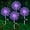 Purple, variant on Solar Garden Lights Outdoor, 2 Pack 120 LED Twinkling Firework Lights Decorative with 2 Modes, Outdoor Waterproof Solar Starburst Light for Outside Yard Pathway Garden Decor, Purple