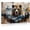 Frame-style, variant on Grizzly Bear Canvas Wall Art Mountain Forest Wildlife Decor Rustic Nature Abstract Animal Print for Living Room Bedroom Home Office Cabin Decorations