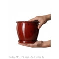 thumbnail image 4 of Serene Spaces Living 7" Sora Red Ceramic Planter, 4 of 7