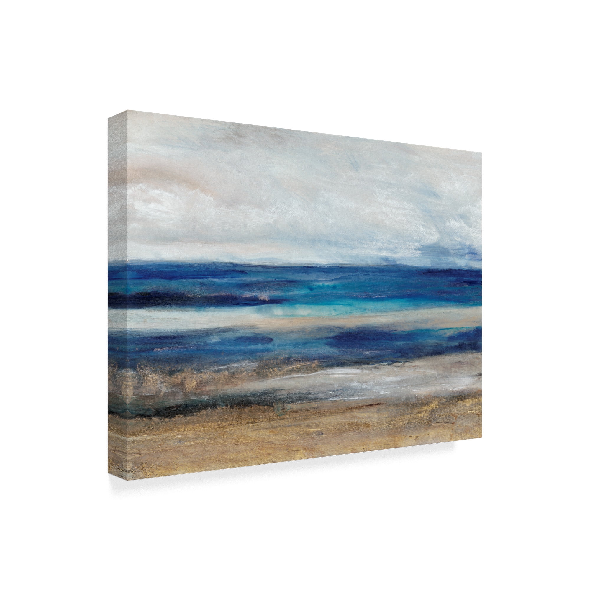 Trademark Fine Art 'Movement I' Canvas Art by Tim OToole