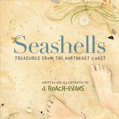 Seashells : Treasures from the Northeast Coast