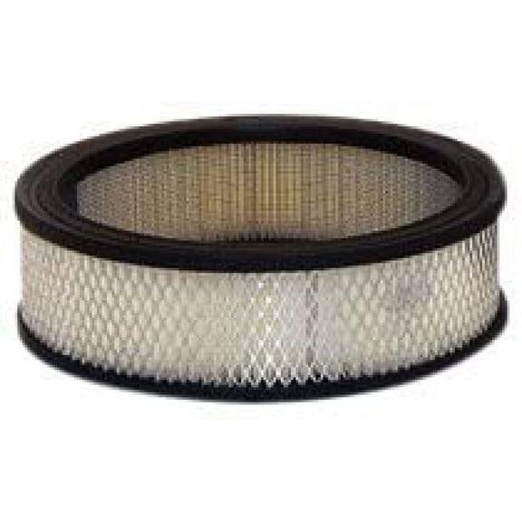 WIX Filters - 46036 Air Filter, Pack of 1