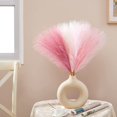 thumbnail image 6 of JUMRHFAN Pampas Grass Pink Decor 17.7 inch 6pcs, Faux Pampas Grass Home Decor, Artificial Pampas Grass Blush Fake Pampas, Short Vase Room, 6 of 8