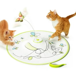 Pets Know Best Pop N Play Peek a Boo Cat Toy Green Walmart