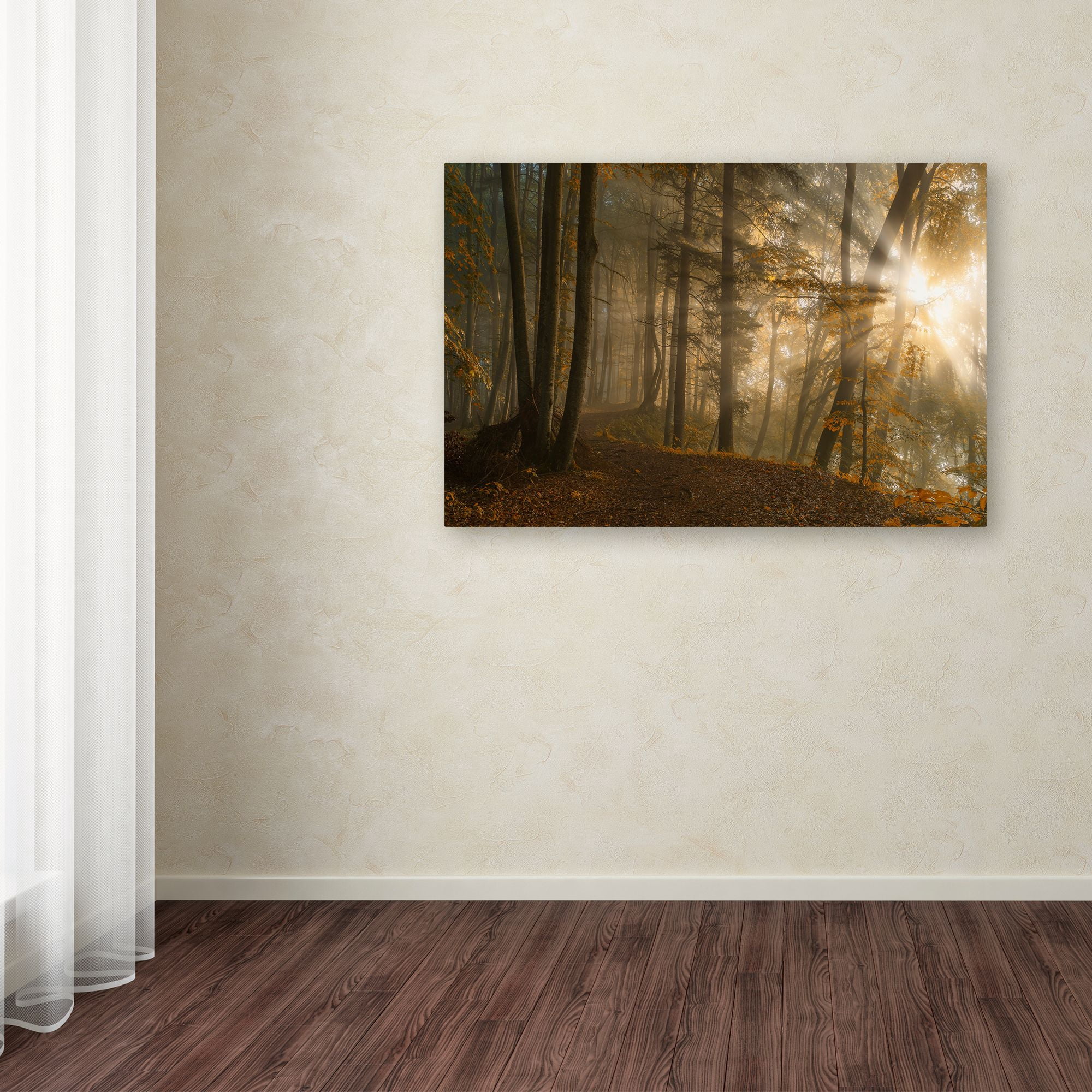 Norbert Maier 'Forest Light' Canvas Art