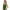 Army green, variant on Tank Tops for Women Summer Sleeveless Shirts V Neck Ribbed Slim Fitted Tops