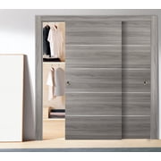 Closet Sliding Doors 48 x 80 | Planum 0020 Ginger Ash | Top Mount Sturdy Heave Hardware Set Kit | Bedroom Wardrobe Solid Wooden Flush Panel Door