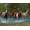 Summer Creek, variant on Springbok 500 Piece Wolf Pack Jigsaw Puzzle for Adults