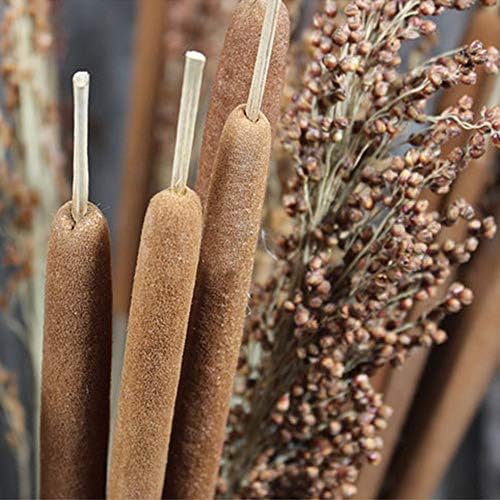 40 Pcs Dried Natural Cattails Jumbo Dried Flowers for Floral Arrangement Wedding Home Decoration$$Home Decor, Kitchen, & Other