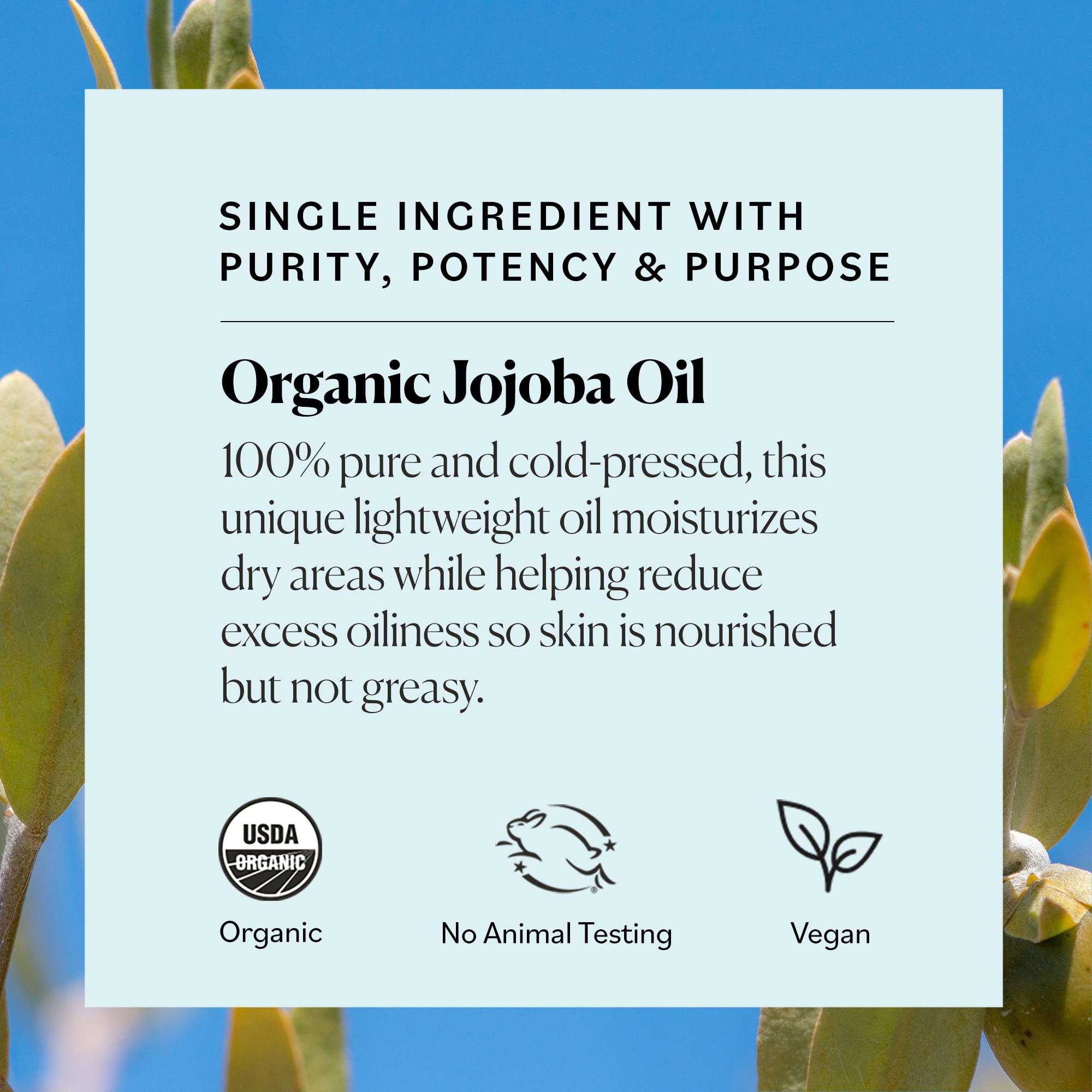 Sky Organics Organic Jojoba Oil for Face, Balancing Oil for Light Hydration & Helps Reduce Excess Oiliness, Suitable For Oily, Combination and Blemish-Prone Skin, 100% Pure & Cold-Pressed, 4 fl. Oz