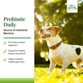 thumbnail image 3 of Terry Naturally Animal Health Probiotic Daily - 60 Chewable Tablets - Probiotics for Dogs, 3 of 7