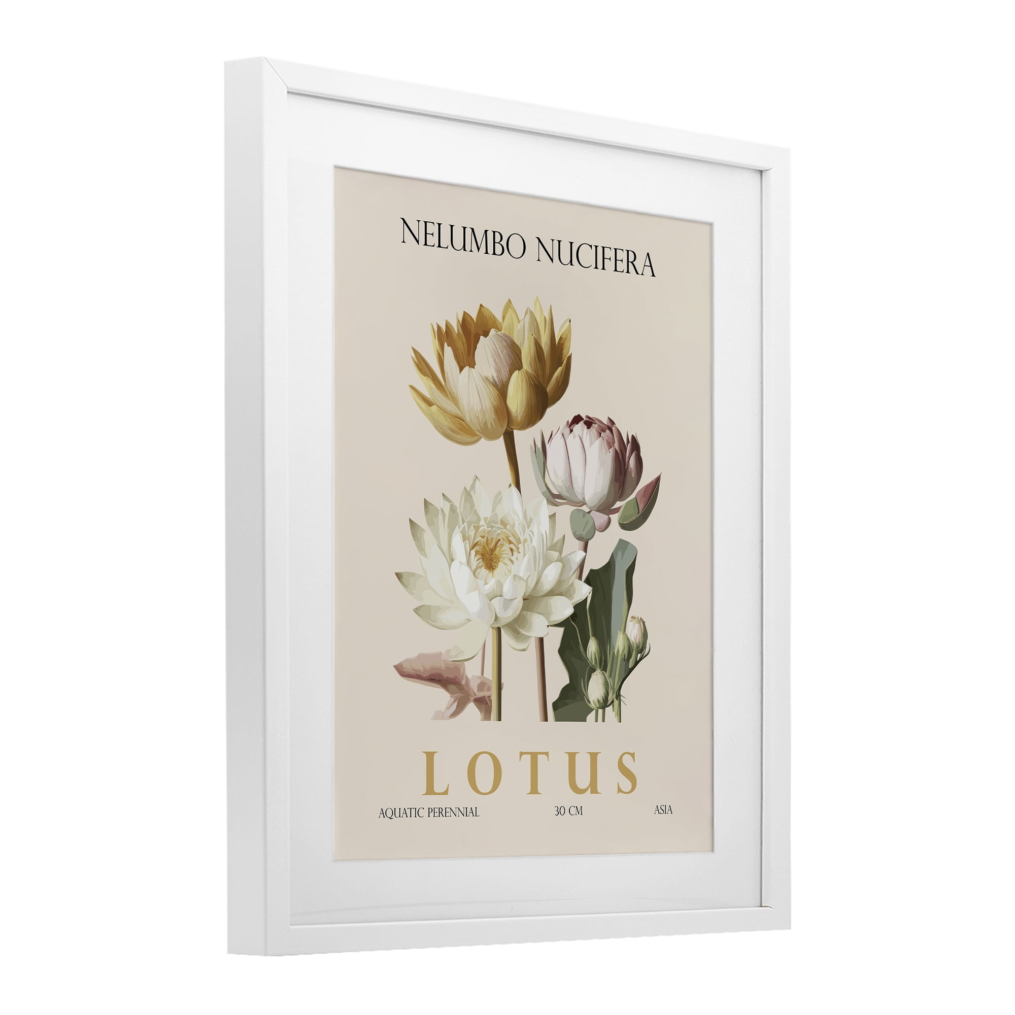Stupell Industries Natural Lotus Bundle White Framed Print Under Glass, design by Christopher Giampietro