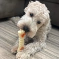 thumbnail image 6 of Nylabone Power Chew Knuckle Bone Pop-In Dog Treat Toy, Dog Toy, Chicken Flavor, Large, 6 of 13