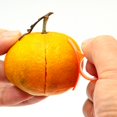 thumbnail image 3 of 4 Round (Citrus Fruit) Peelers Orange 4.1*3cm, 3 of 5