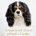 thumbnail image 3 of CafePress - Cavalier King Charles Spaniel White T Shirt - Men's White Classic Cotton T-Shirts, 3 of 4