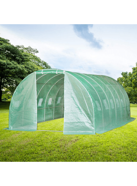 Mini Greenhouses in Greenhouses