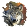 thumbnail image 3 of CafePress - Gray Wolf Ash Grey T Shirt - Men's Classic Graphic T-Shirt, 3 of 4