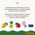thumbnail image 5 of Caf&eacute; 1968 Geisha en Grano 340g | Barismo Profesional | Explosi&oacute;n Frutal | Origen Veracruz | Notas c&iacute;tricas, moras azules, mango y pi&ntilde;a - Tueste Claro, 5 of 5