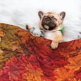thumbnail image 3 of Pofeuu Autumn Leaf Print Puppy Blanket,Dog Blankets,Pet Blanket Cozy Cat Blankets for Indoor Cats, Fuzzy Pet Blanket for Kitten Doggy Dog Blankets-Large, 3 of 8