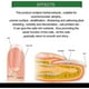 thumbnail image 3 of 7days Nail Treatment, Ginger Nail Treatment, Multi-Purpose Nail Repair, Nail Nutrient Oil Strengthener Oil Serum Ginger Nail Growth Oil, 3 of 5