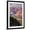 Black Frame, variant on Art.com Denali National Park, Alaska - Polychrome Pass Art Print by Lantern Press, Brown Frame Wall Art, 21" x 29"