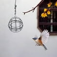 thumbnail image 3 of Suet Ball Feeder Bird Suet Balls Holder Bird Feeding Metal Bird Feeder, 3 of 8