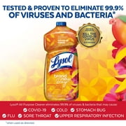 Lysol All Purpose Cleaner, 2X Concentrated Multi-Surface Disinfectant Floor Cleaner for Mopping Solution, for Bathroom & Kitchen, Mango & Hibiscus, 48 fl oz