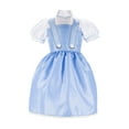 thumbnail image 4 of The Wizard of Oz Dorothy Roleplay Blue Dress for Girl Child Ages 3 and up Fits 4-6x, 4 of 6
