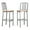 Silver, variant on Linon Badden Commercial Grade Wood Seat Steel Frame Barstools Set of 2 in Silver