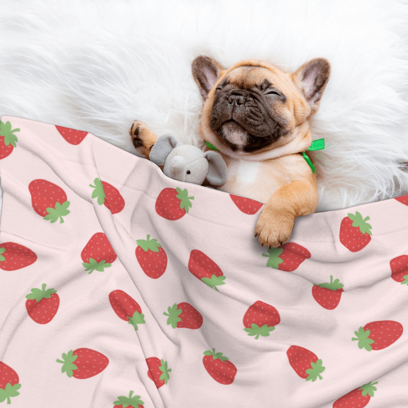 Naloa Strawberry Dog Blanket, 3 Sizes Cat Blanket for Indoor Cats Large Medium Small Dog Gifts-Large